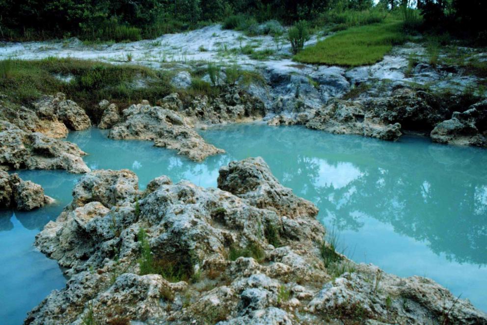 Exposed karst formation in a pool of water