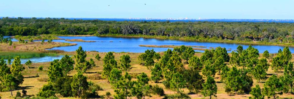 Rock Ponds restoration