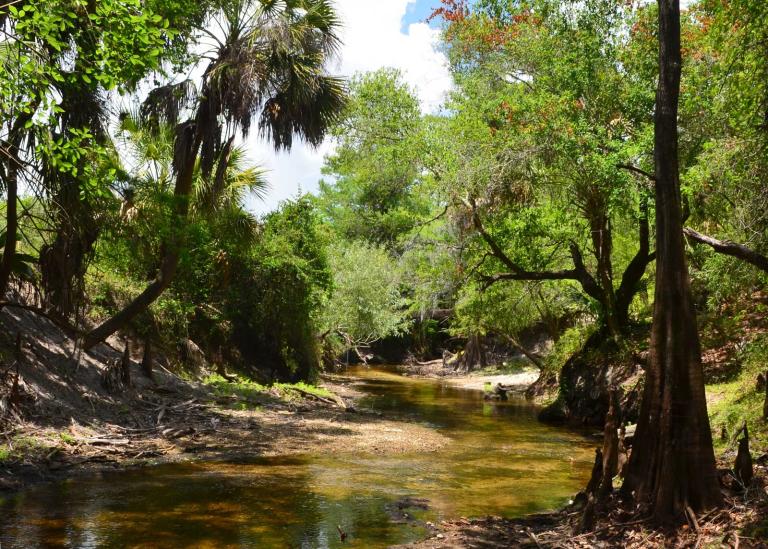 Sunny summer day on Shell Creek