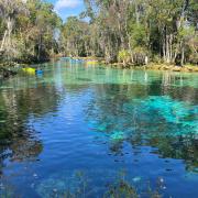 Three Sisters Springs surrounded by trees
