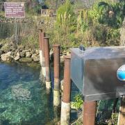 Water monitoring device on pilings