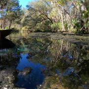 Small skiff on the river with trees in the background