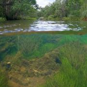 Underwater and above water split scene