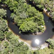 Aerial view of winding river in forest