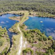 Aerial view forested area surrounding retention ponds