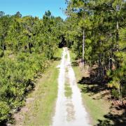 Lower Hillsborough Wilderness Preserve
