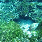 An underwater vent in the crystal clear river
