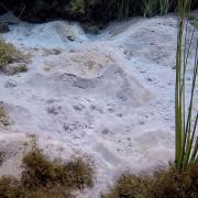 Underwater view of sand boils