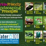 Florida-Friendly landscaping principles graphic