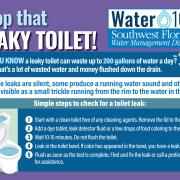 Toilet leak graphic