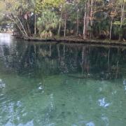 Looking through clear water at the underwater sinkhole