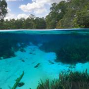 Underwater and above water split scene of the river