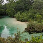 The river flowing through a brush lined bank