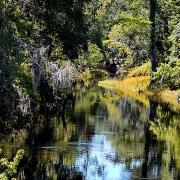 Sunshine brightens an idyllic view of green grass and trees along the Withlacoochee River