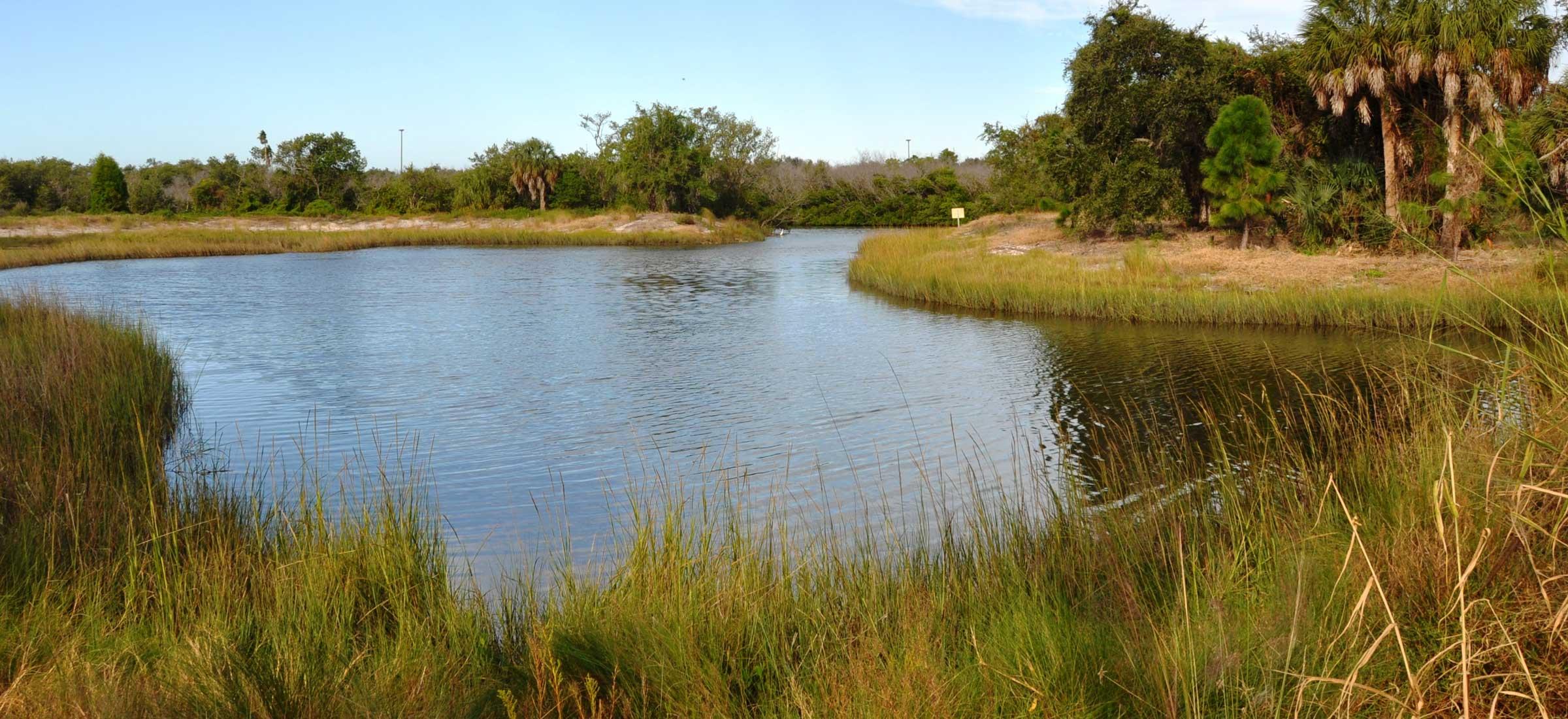 Clam Bayou Habitat Restoration and Stormwater Treatment