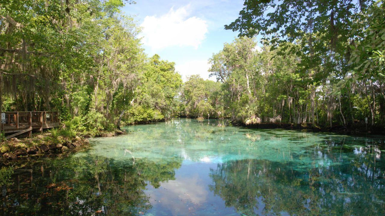 District Springs Photo