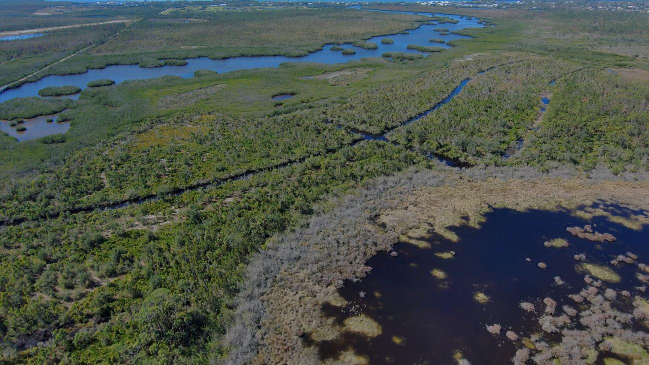 This is an aerial photo of the pre-construction Cape Haze Ecosystem Restoration Project. There are large portions of green plants and shrubbery and several areas of blue where water covers the property. 