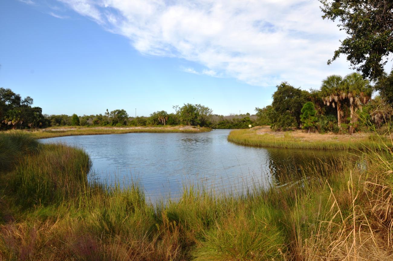 Example of a wetland