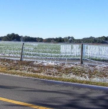 Ice hanging on farm fence