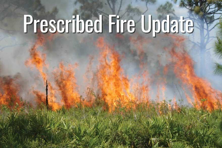 prescribed burn fireline