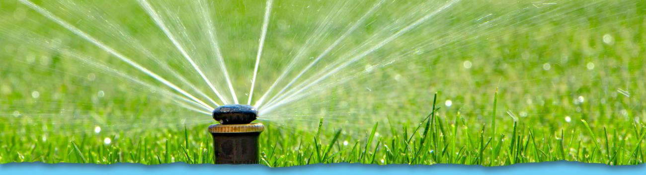 Close-up of water sprinkler head in yard