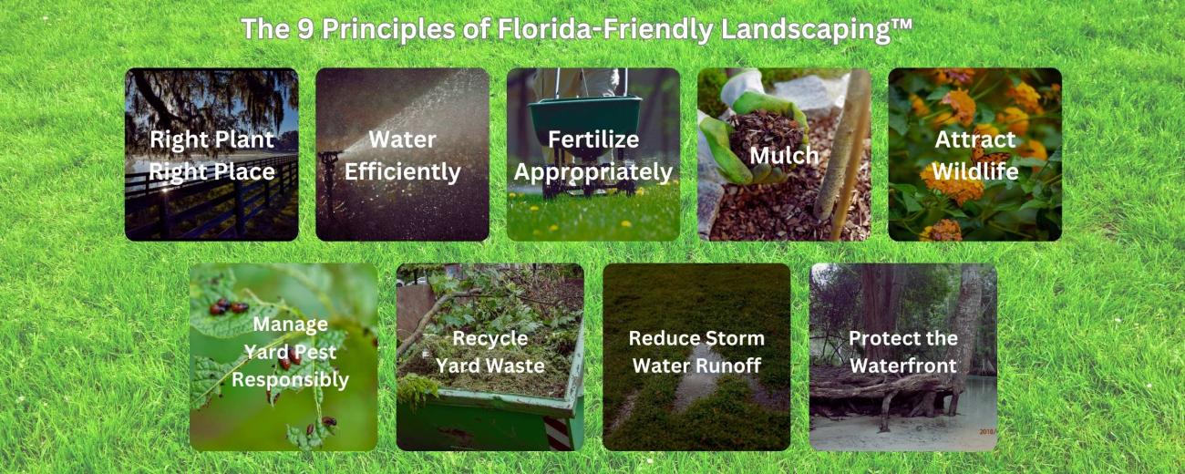 The 9 Principles of a Florida Friendly Landscape