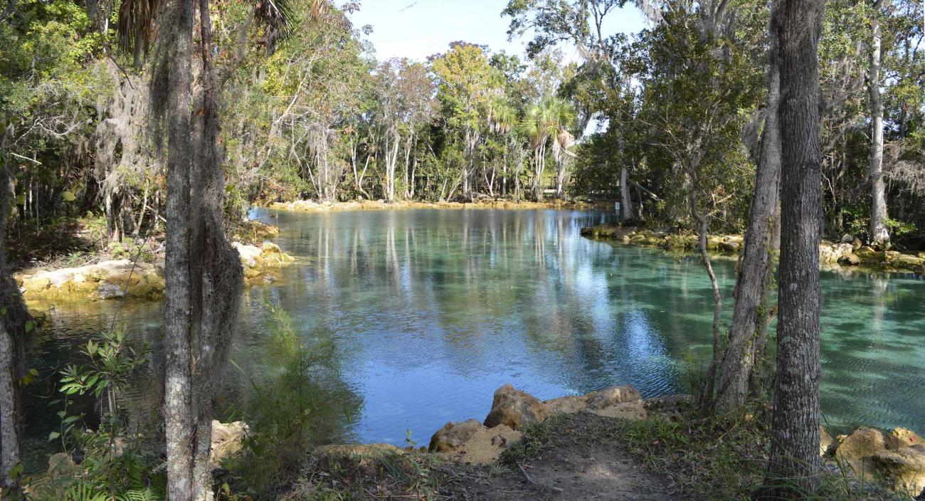 What is a Spring? | WaterMatters.org