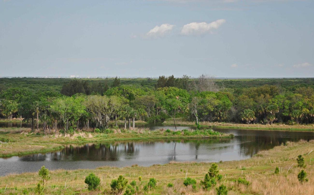 rock ponds