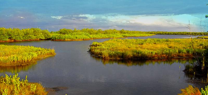 Charlotte Harbor estuary