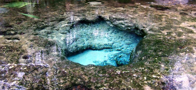 Chassahowitzka Springs Geology Springs