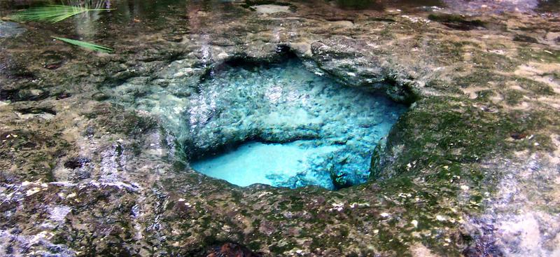 Chassahowitzka Springs spring vent underwater