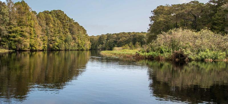 river with tree-lined shore