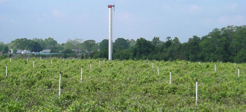 Wind turbine powered irrigation in field