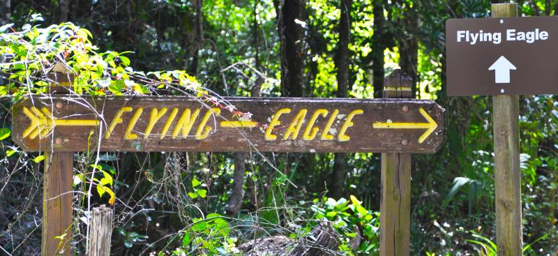 Flying Eagle Preserve