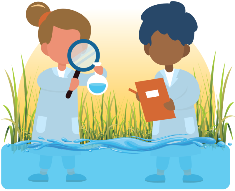 Illustration of water sample collection