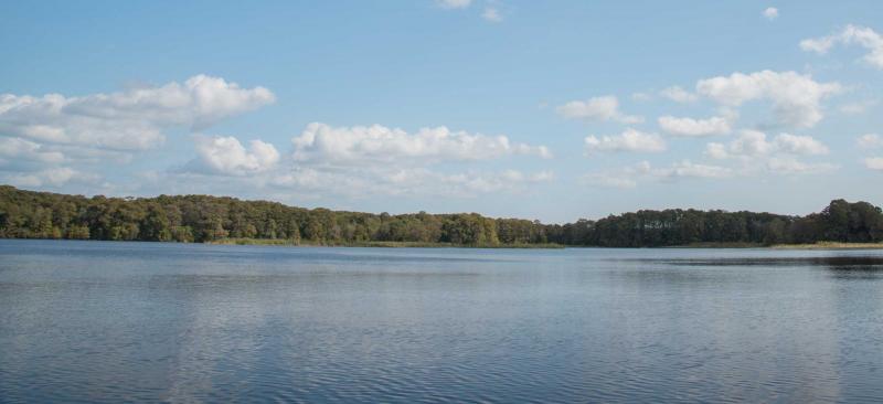 Lake Panasoffkee