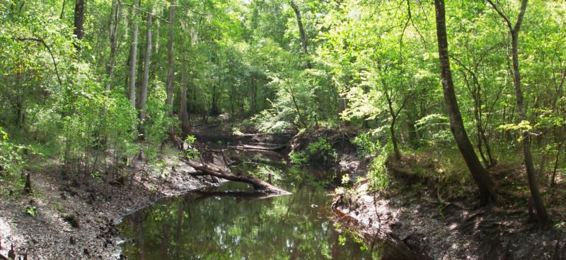 Withlacoochee River 