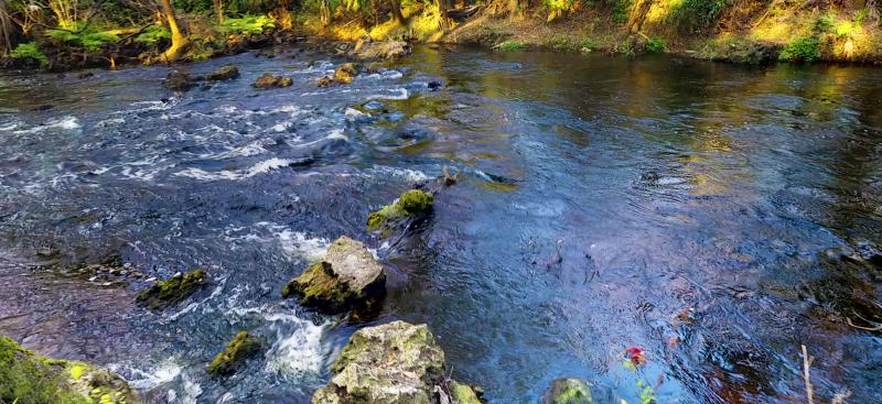 Hillsborough River flowing over rock outcroppings