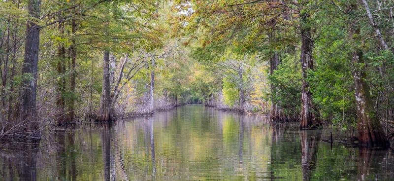 Withlacoochee River with high water flow markings