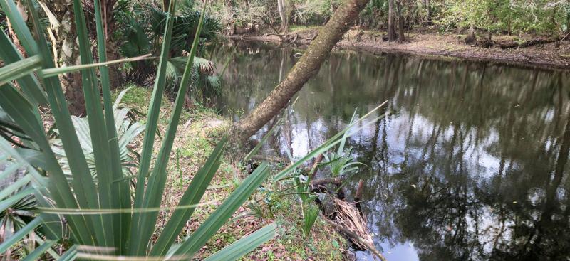 the Hillsborough River