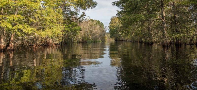 Withlacoochee River