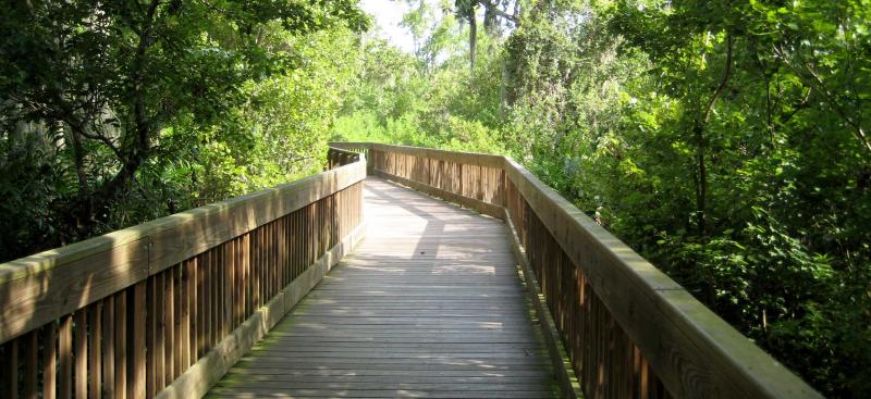 Sawgrass Lake boardwalk