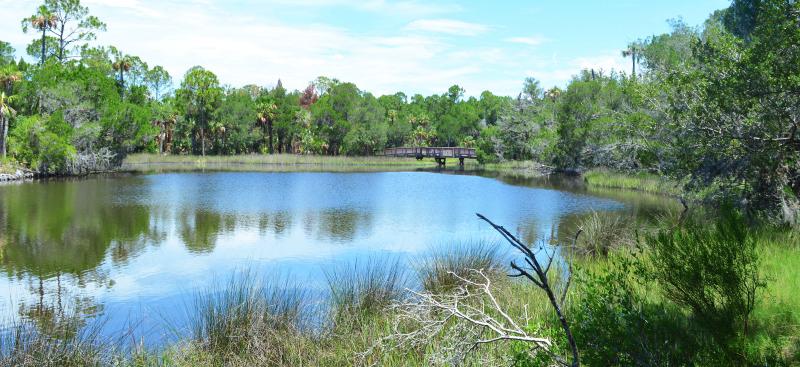 small lake with boardwalk behind