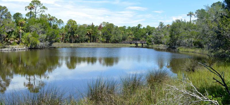 lake with vegetated sides