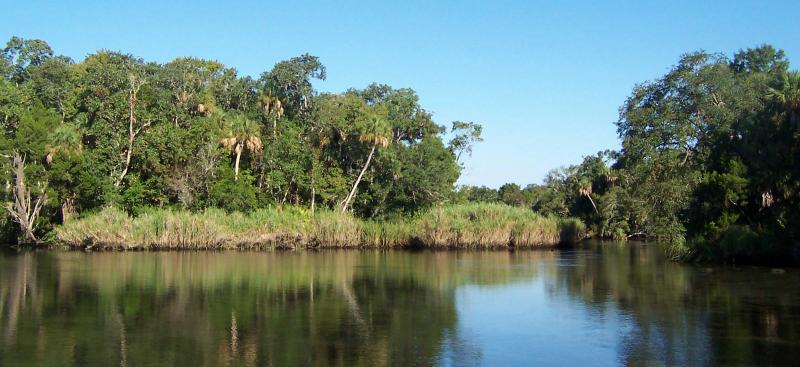 The Chassahowitzka River