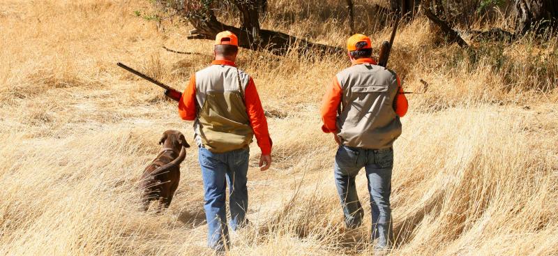 two hunters walking with dog