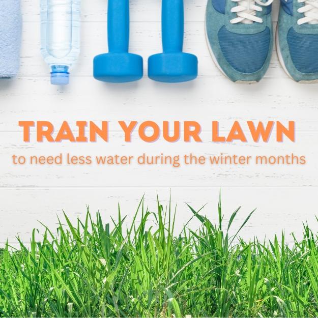 Train your lawn to need less water during the winter months