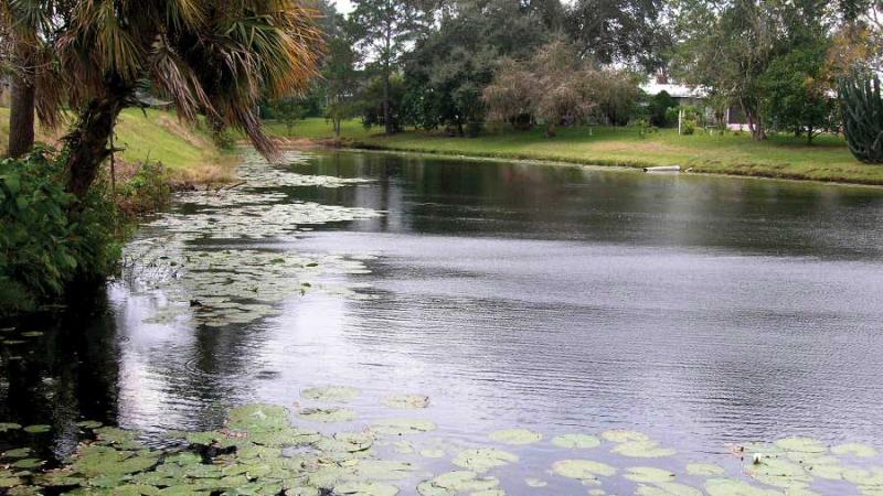 A detention pond