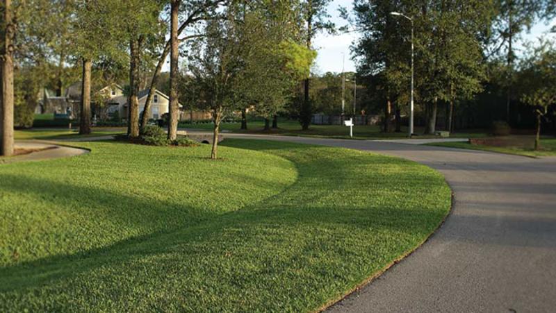 Swale beside a curved street