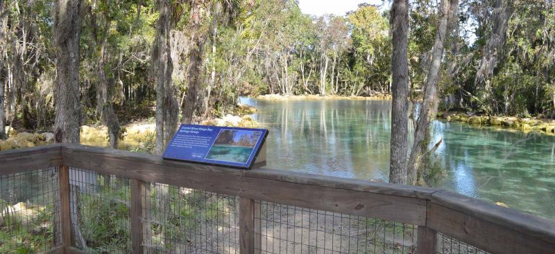 Three Sisters Springs from the boardwalk